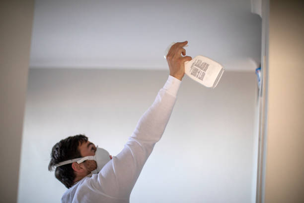 Best Basement Mold Remediation in Twain Harte, CA