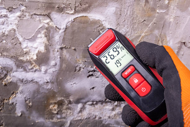 Best Black Mold Remediation in Twain Harte, CA