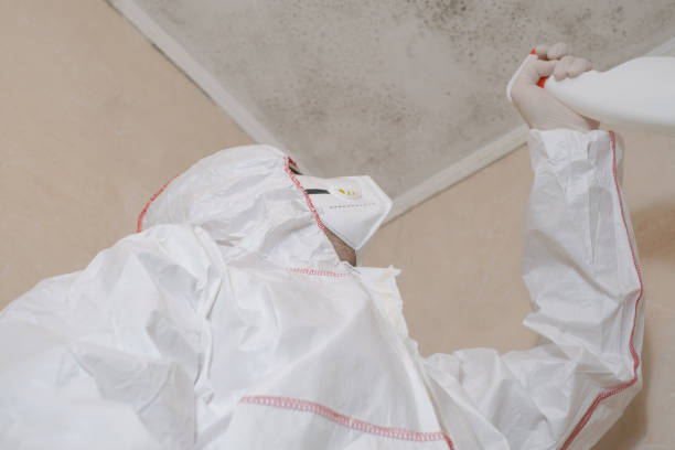 Best Mold Remediation for Schools in Twain Harte, CA