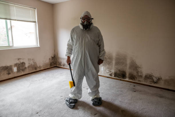 Best Bathroom Mold Remediation in Twain Harte, CA